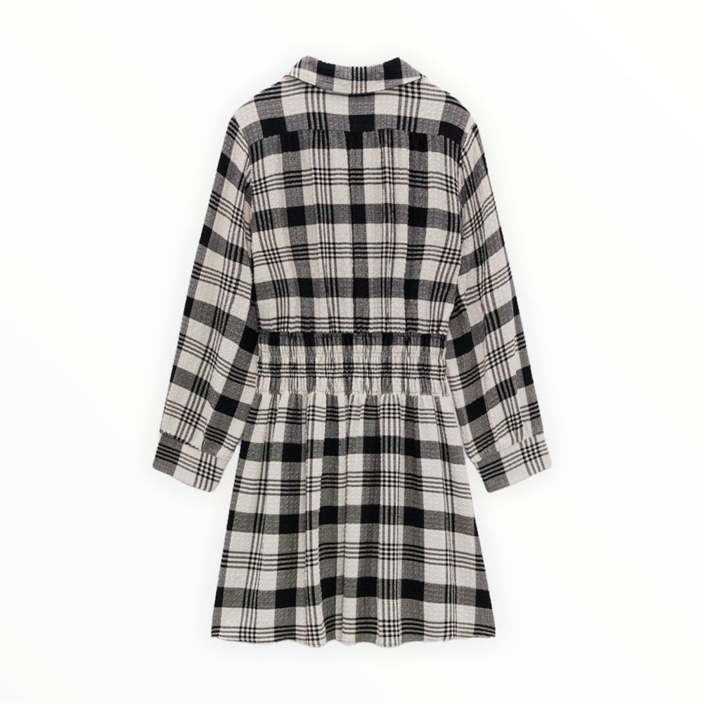 ZARA Women | Black & Cream | PLAID DRESS - Picture 3 of 9